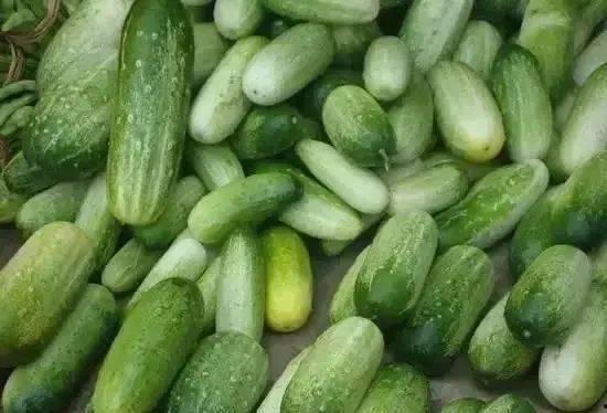 吃瓜族mp4,网络热词背后的趣味与思考