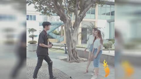 吃瓜族mp4,网络热词背后的趣味与思考