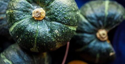 东北真瓜怎么吃,解锁美味新体验