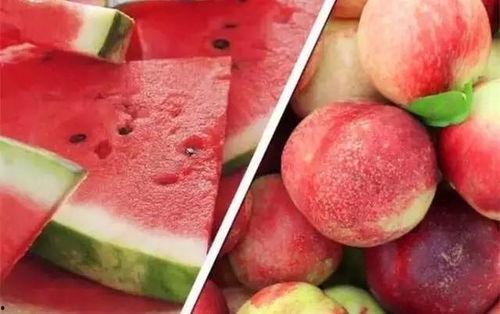 小孩吃瓜看桃,瓜果飘香，桃李满园