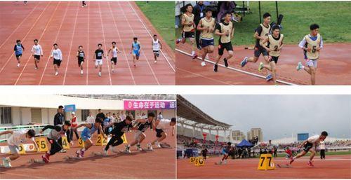 陇东学院操场吃瓜,夏日吃瓜盛宴，共享清凉时光