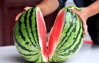 湖北咸宁吃瓜,探寻湖北咸宁的美食之旅