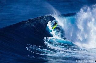 于适冲浪吃瓜,揭秘冲浪圈的那些事儿