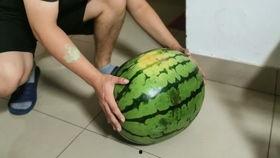 瓜哥吃瓜奇葩商品视频下载,揭秘那些令人捧腹的奇葩商品