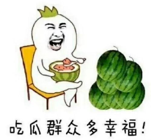 娱乐吃瓜梗,吃瓜群众必备的瓜田秘闻