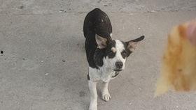 故作矜持吃瓜,揭秘娱乐圈的“假面”生活