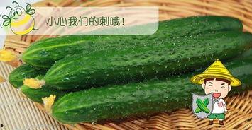 大家都是在哪吃瓜,揭秘大家都在哪吃瓜的趣味现象