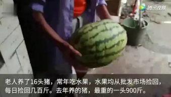 网友吃瓜了,娱乐圈幕后真相曝光