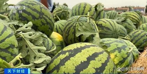 网友吃瓜了,娱乐圈幕后真相曝光