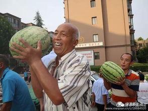 吃瓜现场解说大全,揭秘娱乐圈幕后真相