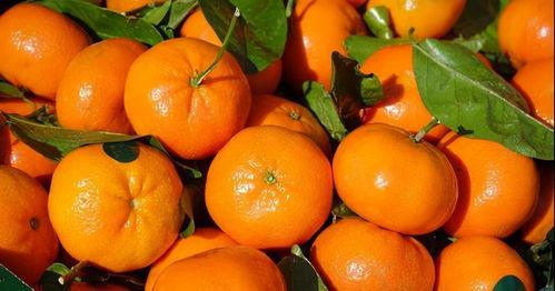 事事顺心 吃瓜,揭秘幸福生活的秘诀