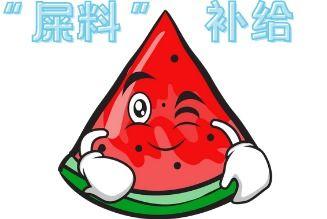 吃瓜去现场,揭秘娱乐圈幕后风云