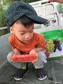 所谓吃瓜,揭秘“吃瓜群众”背后的社会现象与心理解读