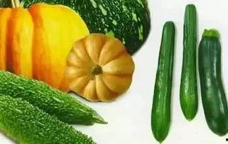 腾蛟吃瓜,揭秘娱乐圈幕后故事