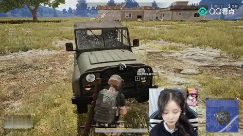 小瓜仔吃鸡,一场欢乐的农家乐之旅