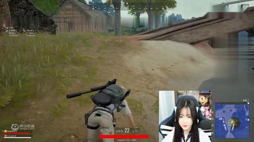 小瓜仔吃鸡,一场欢乐的农家乐之旅