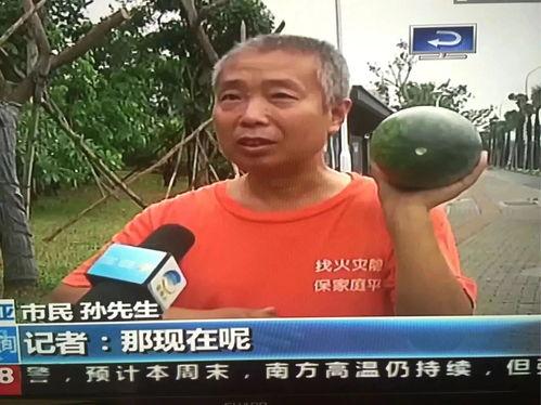 国内吃瓜热点事件,国内最新吃瓜事件深度剖析