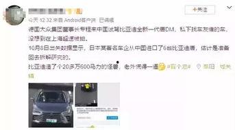 吃瓜群众没钱过年,年味里的无奈与期待