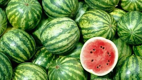 狂飙兄弟最全吃瓜,揭秘娱乐圈最全吃瓜事件，真相大白！