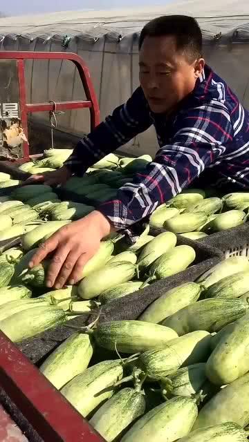 老丈人吃瓜,笑料百出，揭秘家庭欢乐时光