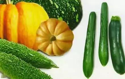 矿山吃瓜,吃瓜群众探秘矿工生活