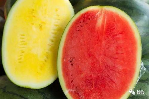 够级吃瓜,揭秘网络社交新潮流