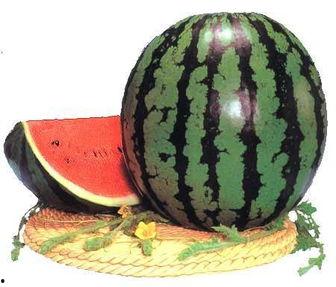 吃师瓜好吗,吃师瓜，品味独特风味