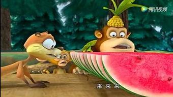 兔子吃瓜视频搞笑,萌兔吃瓜笑翻天