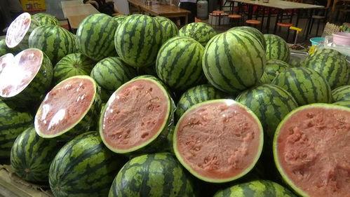 该吃的瓜,揭秘网红美食背后的“吃瓜”故事