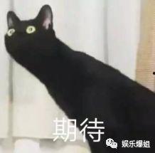 下饭的吃瓜神剧,吃瓜群众的最爱，揭秘娱乐圈背后的秘密