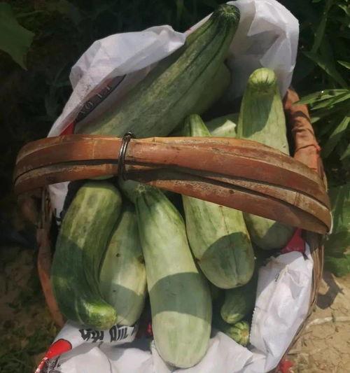 安新鸭货吃瓜,吃瓜群众的美食新宠