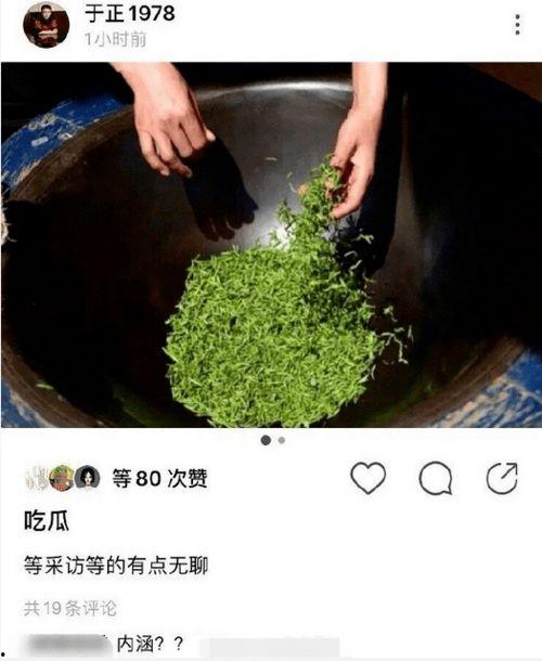 绿茶吃瓜指南,轻松解锁绿茶圈内的趣味瓜果