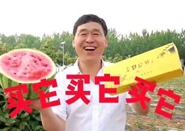 镇长吃瓜,一场意外的舆论风暴