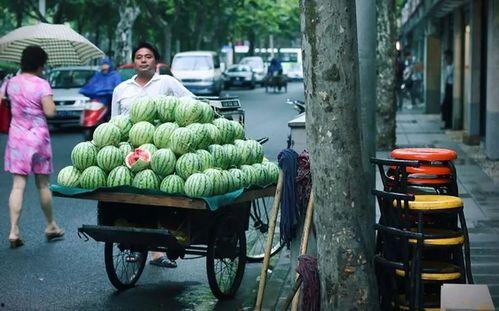 建设路吃瓜,瓜田里的市井百态