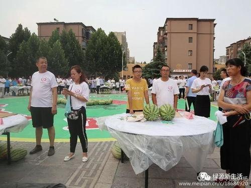 吃瓜大赛场,吃瓜大赛场精彩瞬间大盘点