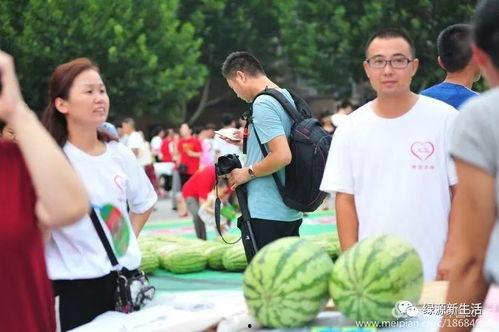 吃瓜大赛场,吃瓜大赛场精彩瞬间大盘点