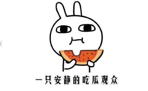 吃瓜细节描写,揭秘那些令人捧腹的吃瓜细节