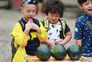 老爸当家吃瓜,吃瓜群众围观家庭欢乐时光