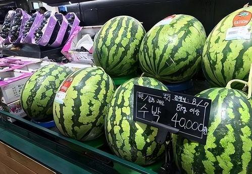 吃瓜比赛卖西瓜,吃瓜大赛，西瓜盛宴一触即发！