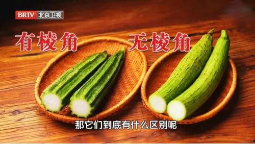 夏天拌糖吃的瓜叫什么瓜,揭秘拌糖瓜的秘密