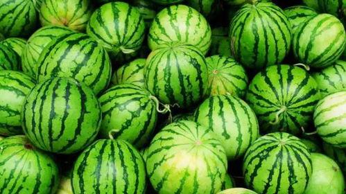 网爆吃瓜中心,揭秘网络热点背后的真相与趣味