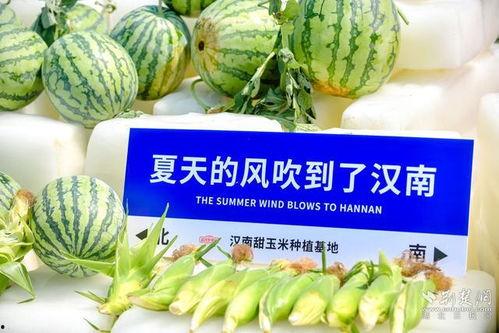 网爆吃瓜中心,揭秘网络热点背后的真相与趣味