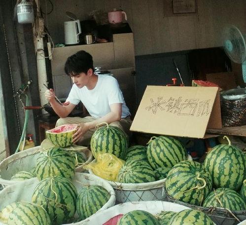 网爆吃瓜中心,揭秘网络热点背后的真相与趣味