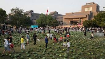 吃瓜的民众,揭秘娱乐圈幕后真相