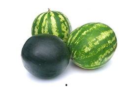 西庄吃瓜事件,一场引发社会热议的乡村奇闻