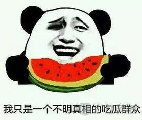 韩语吃瓜,揭秘韩国“吃瓜”文化