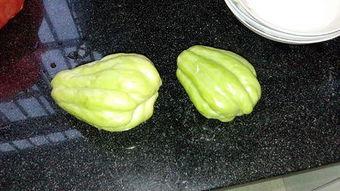 兔儿瓜叶怎么吃,兔儿瓜叶的多样食用方法探索