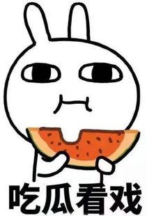 吃瓜最轻松,畅享夏日清凉时光
