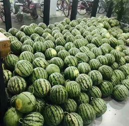 校园吃瓜群头像