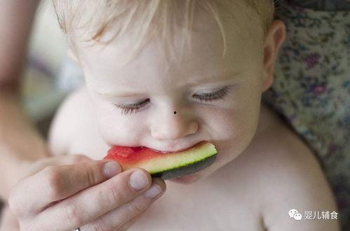 婴儿可以吃棱瓜么,营养与适宜性分析